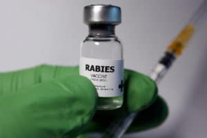 rabies shot after a dog bite attack