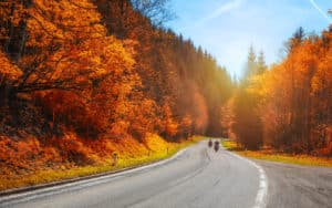 fall leaf peeping motorcycle rides in Colorado