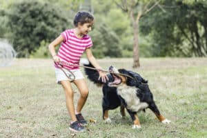 Why Are Children More Likely to Be Victims of a Dog Bite?