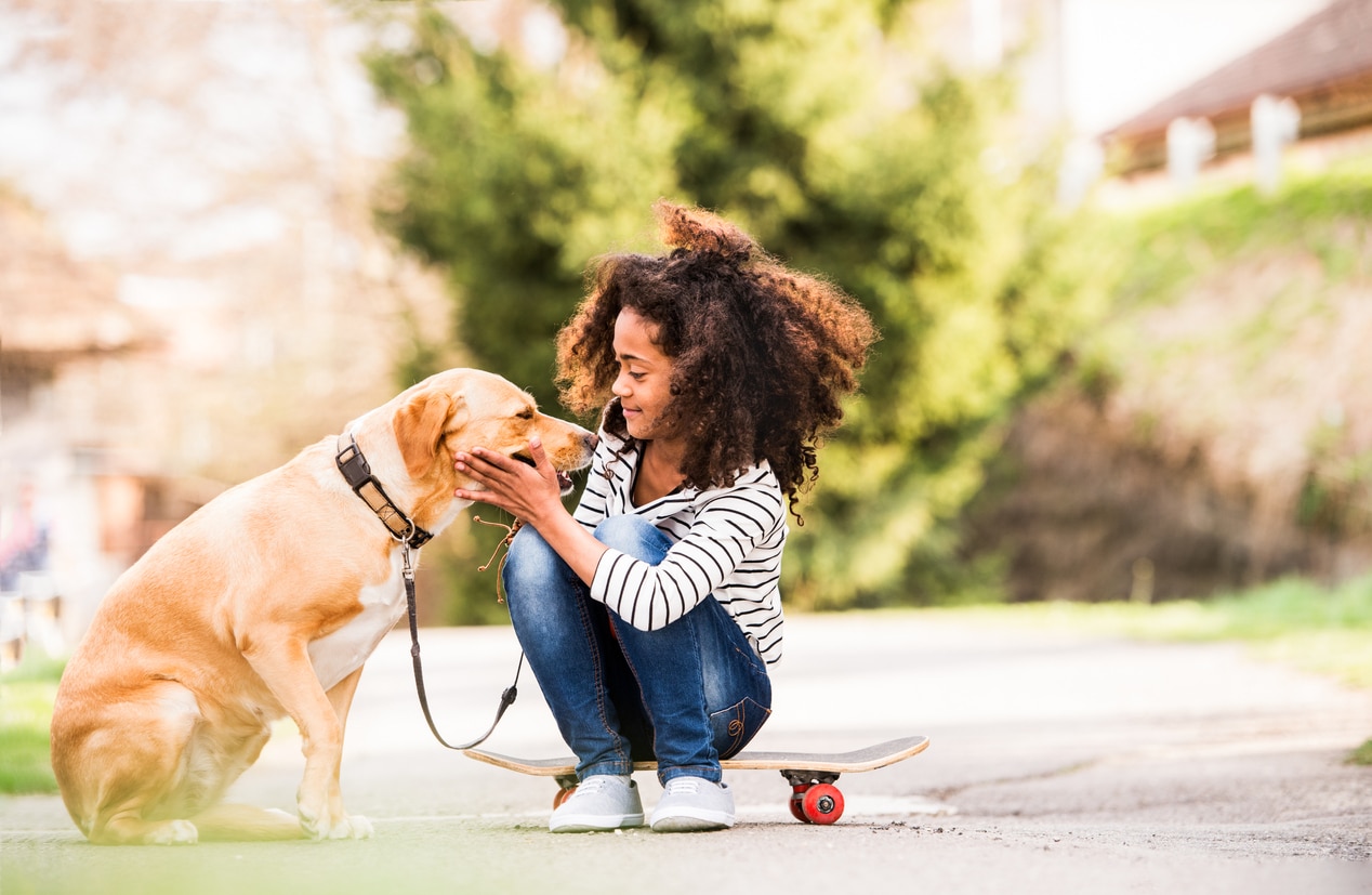 6 Reasons Why Children Are at Greater Risk of Dog Bites