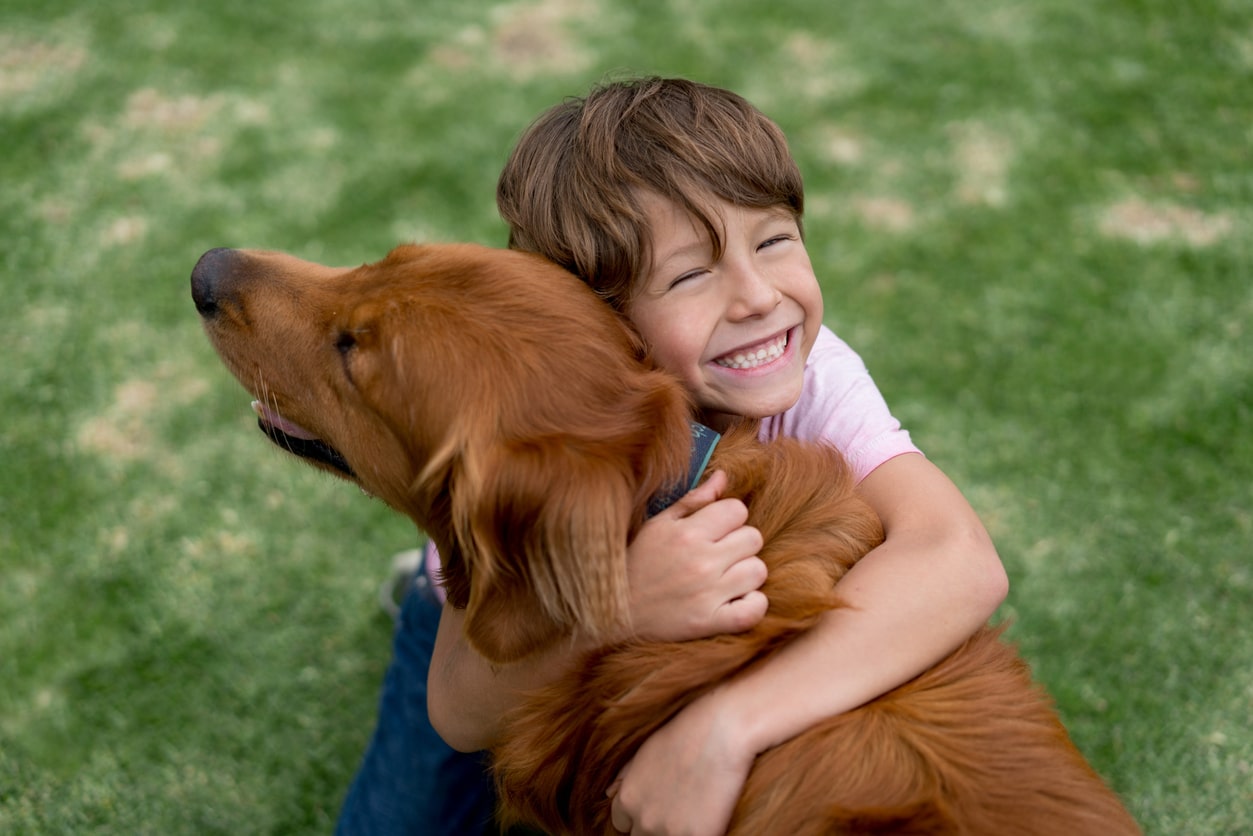 How to Teach Children to Safely Interact with Dogs