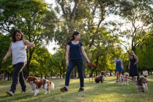 people surrounded by unfamiliar dogs in a park